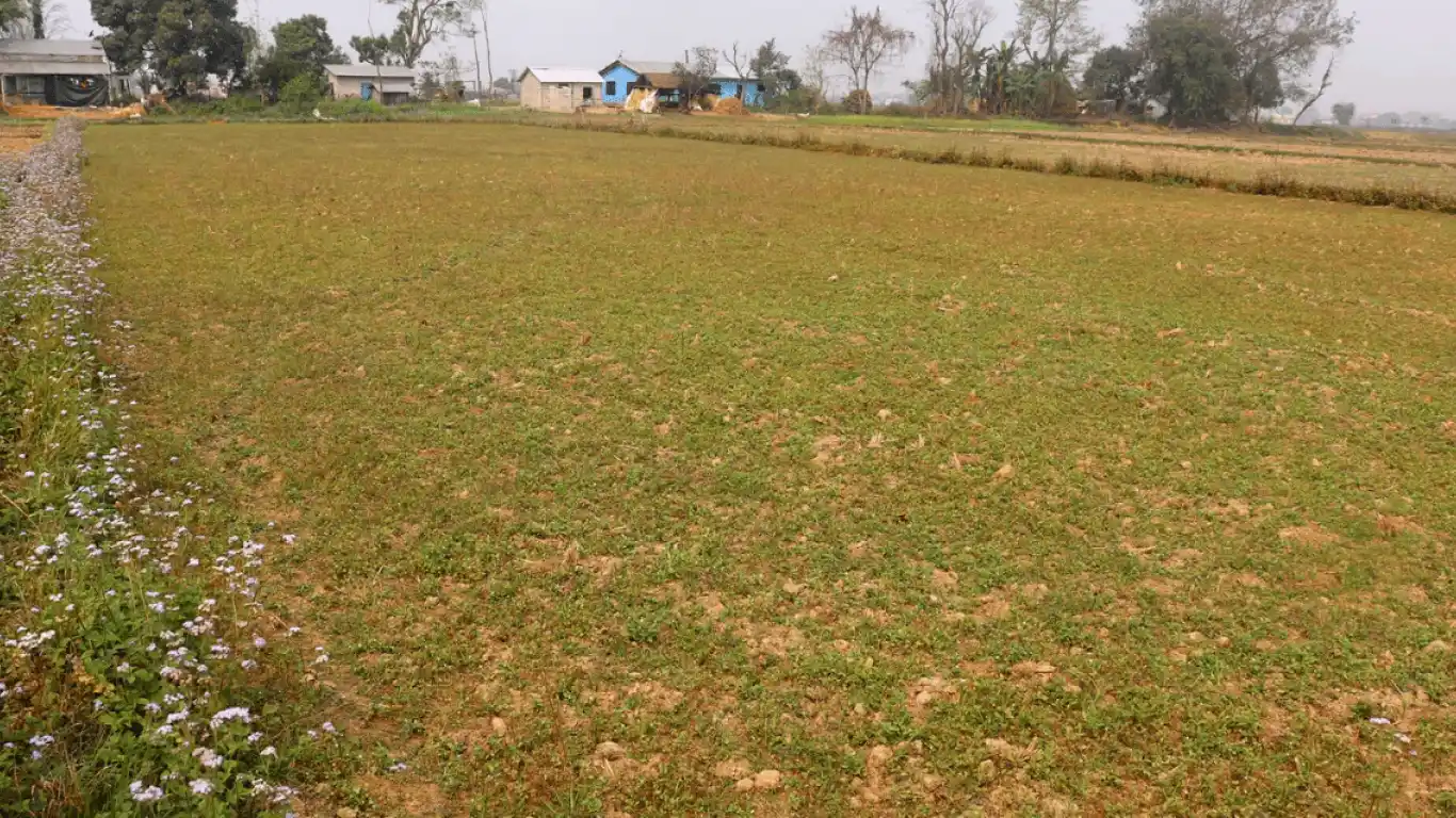 Ghokrela, Kumroj, Ward No. 11, Khairahani Municipality, Chitwan, Bagmati Nepal, ,Land,For sale - Properties,8333