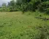 Daldale, Ward No.12, Devchuli Municipality, Nawalpur, Gandaki Pradesh Nepal, ,Land,For sale - Properties,8340