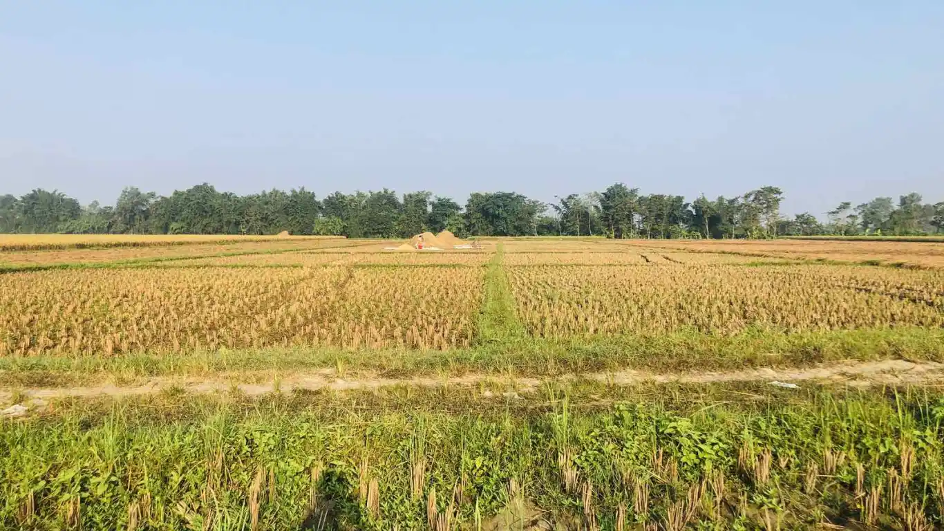 kathar, Ward No. 10, Khairahani Municipality, Chitwan, Bagmati Nepal, ,Land,For sale - Properties,8391