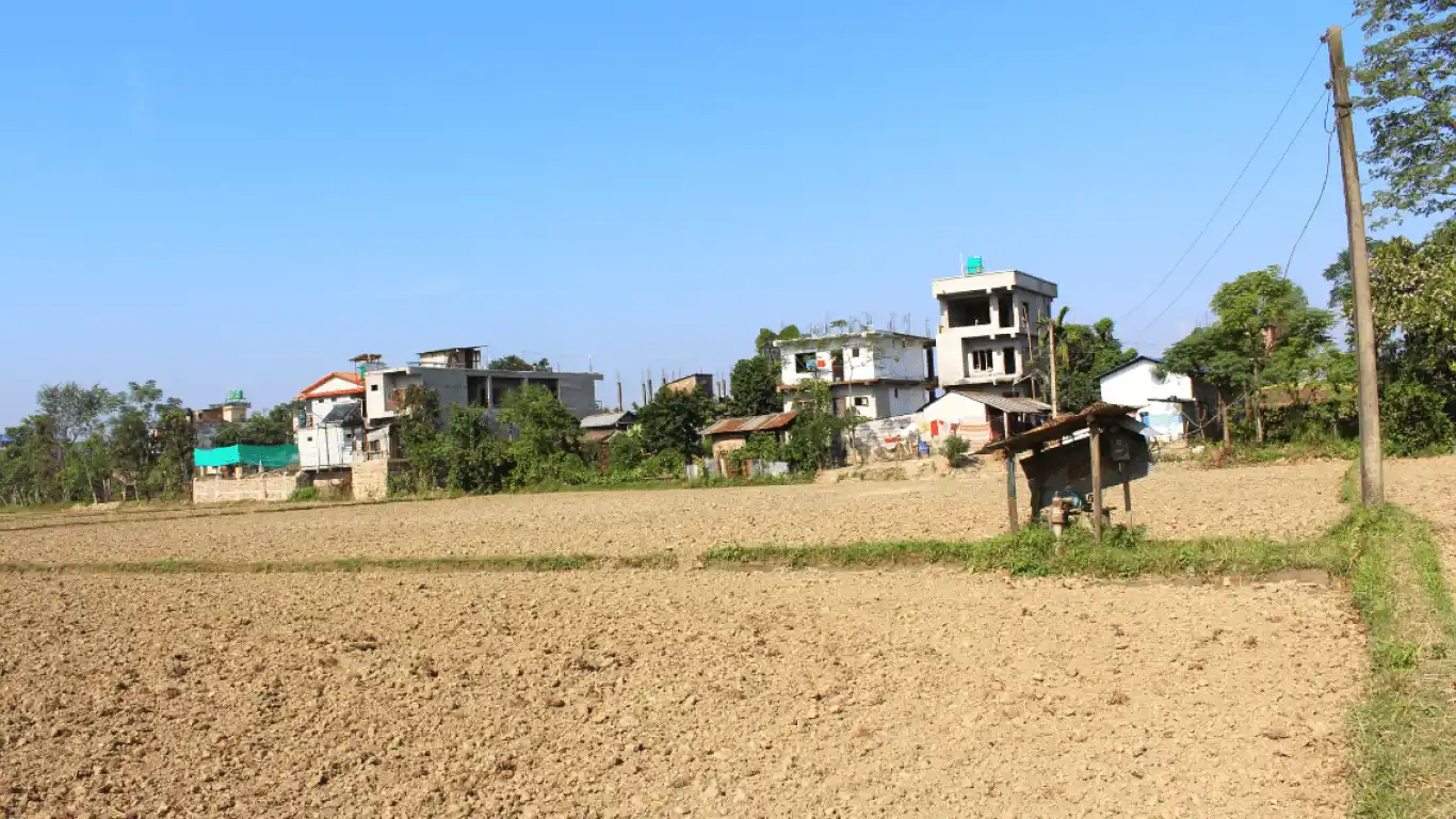 Malpur, Sauraha, Ward No.7, Ratnanagar Municipality, Chitwan, Bagmati Nepal, ,Land,For sale - Properties,8395