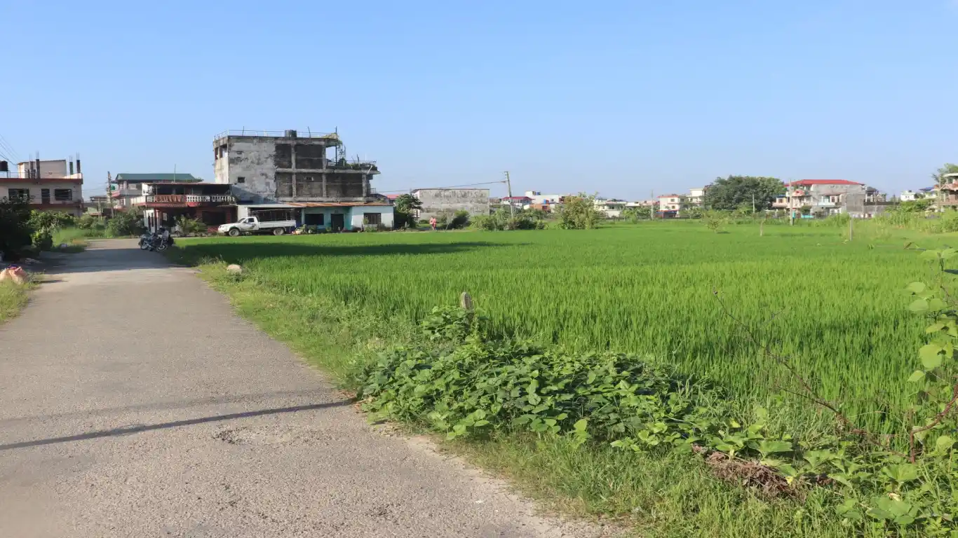 Baseni, Ward No. 11, Bharatpur Metropolitan City, Chitwan, Bagmati Nepal, ,Land,For sale - Properties,8425