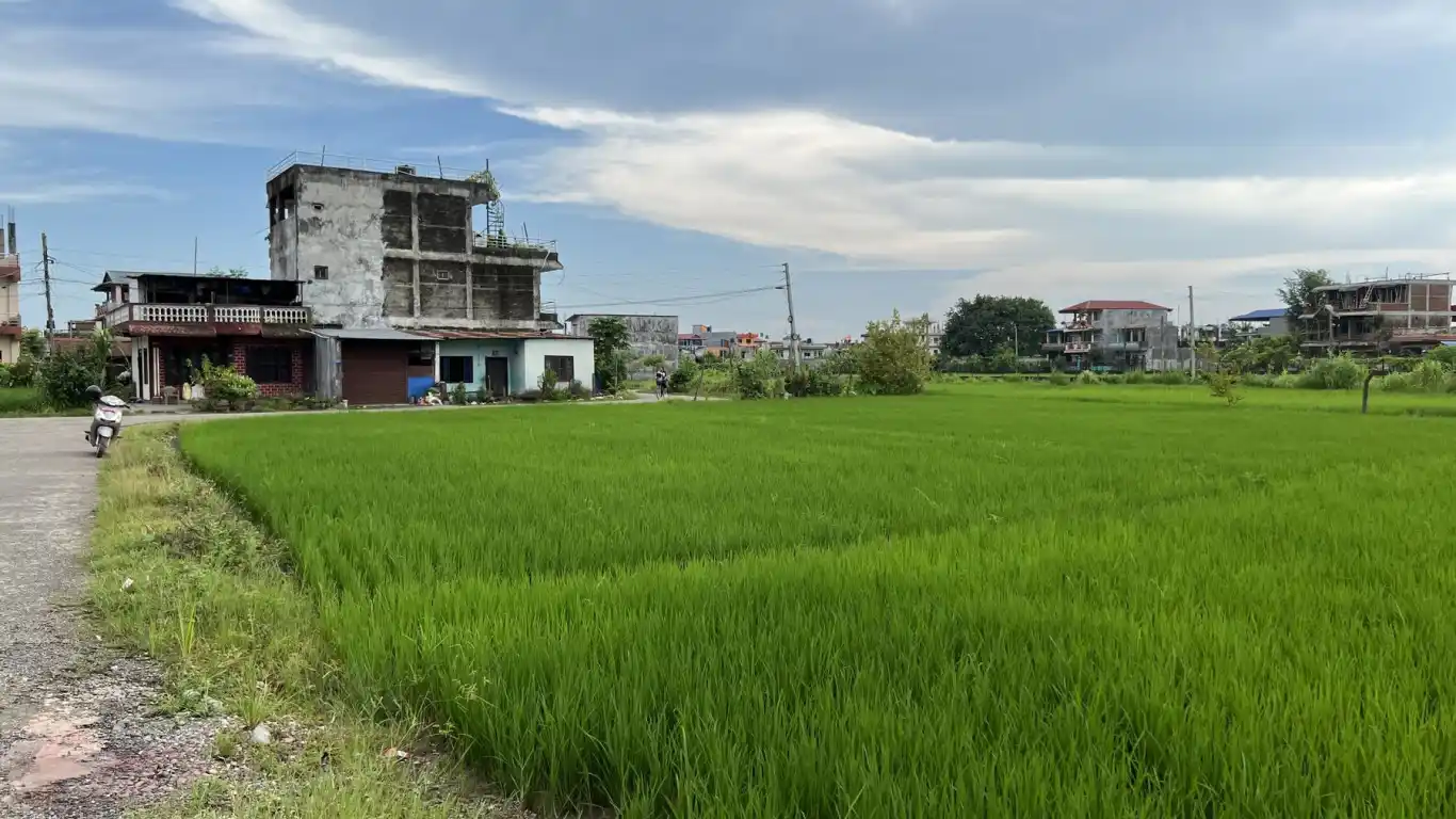 Baseni, Ward No. 11, Bharatpur Metropolitan City, Chitwan, Bagmati Nepal, ,Land,For sale - Properties,8425