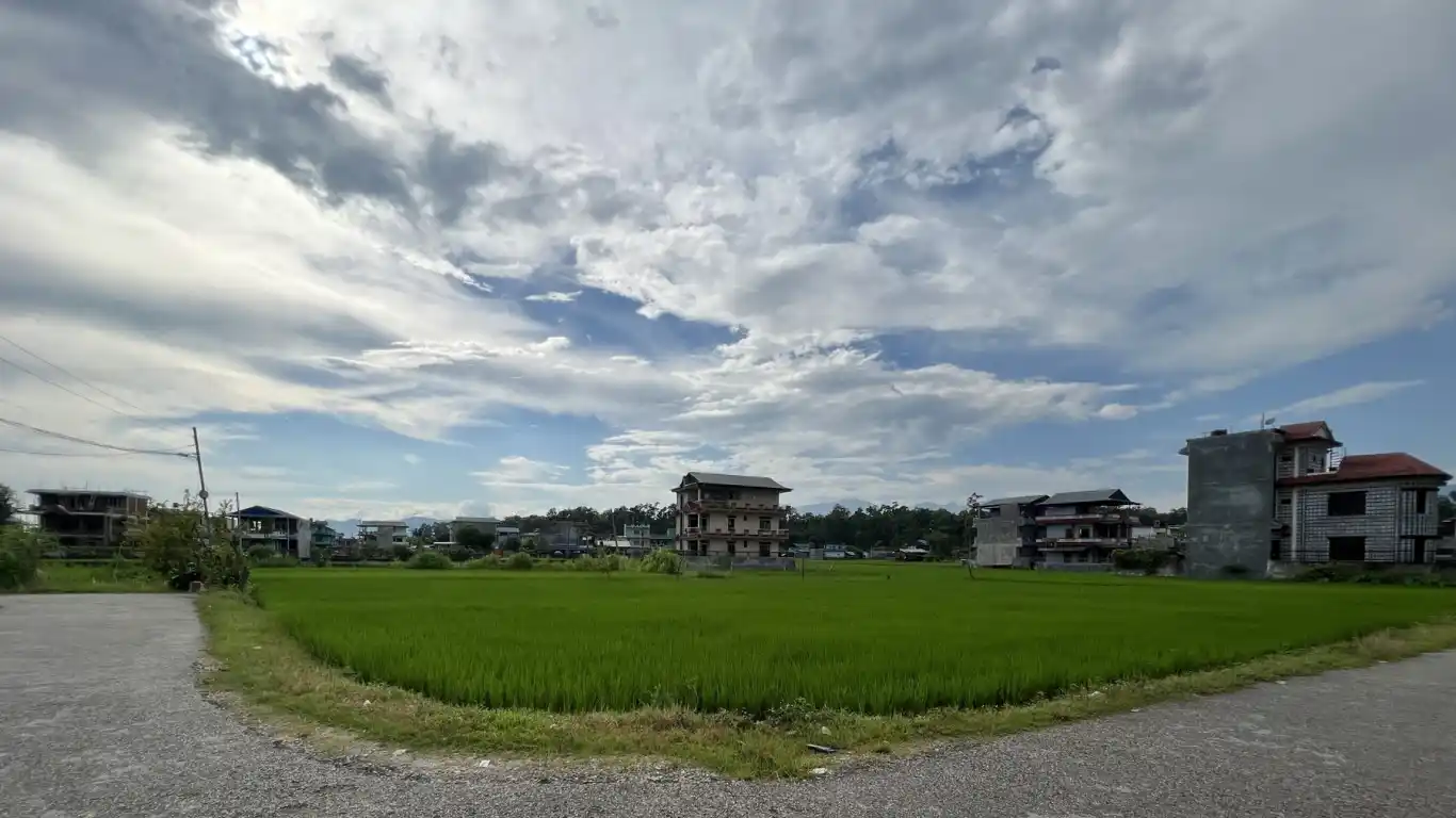 Baseni, Ward No. 11, Bharatpur Metropolitan City, Chitwan, Bagmati Nepal, ,Land,For sale - Properties,8425