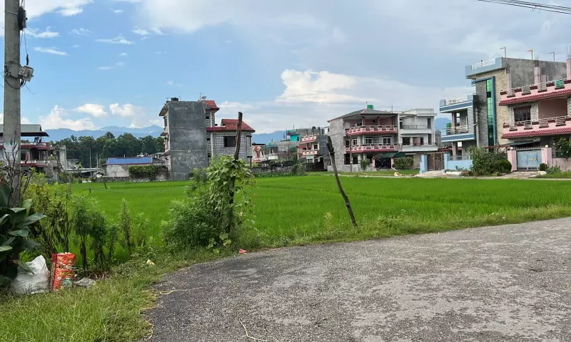 Baseni, Ward No. 11, Bharatpur Metropolitan City, Chitwan, Bagmati Nepal, ,Land,For sale,8425