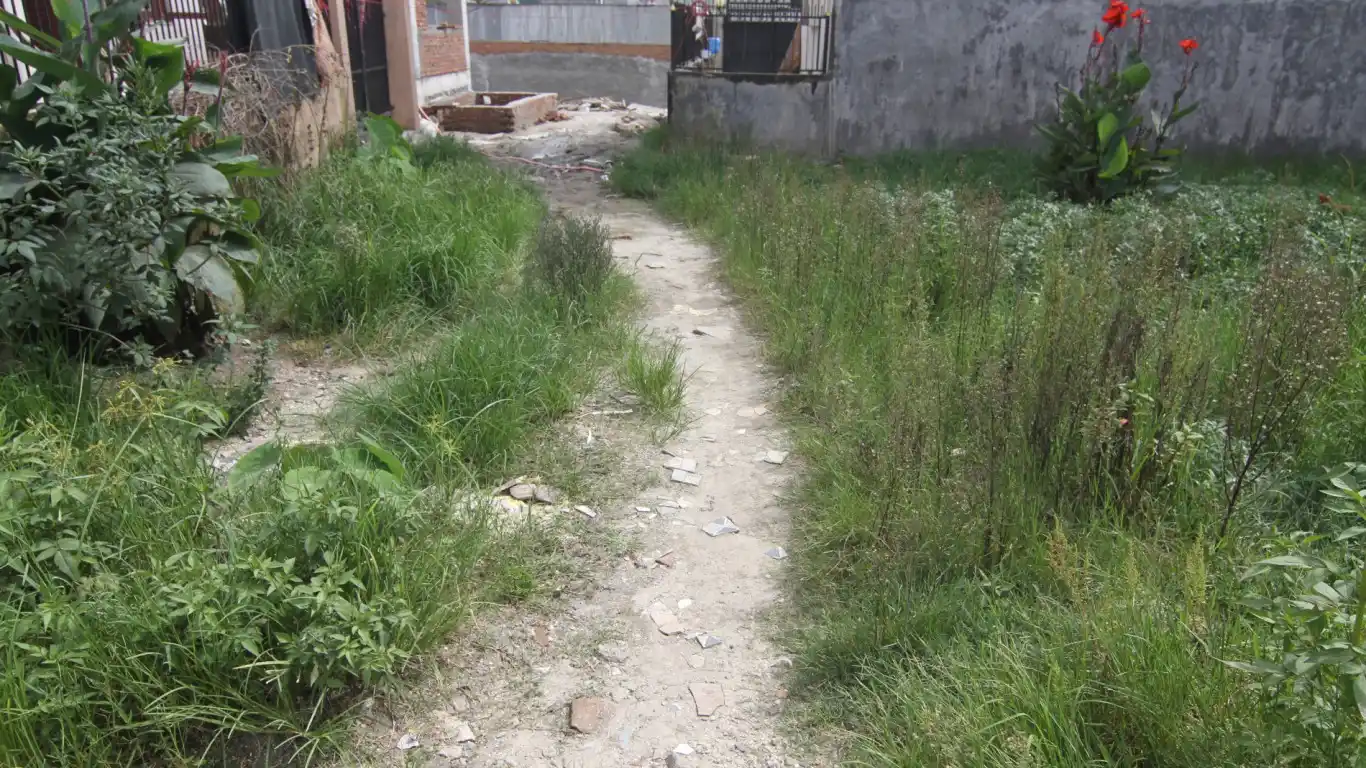 Nayapati, Ward No. 2, Gokarneshwor Nagarpalika, Kathmandu, Bagmati Nepal, ,Land,For sale,8435