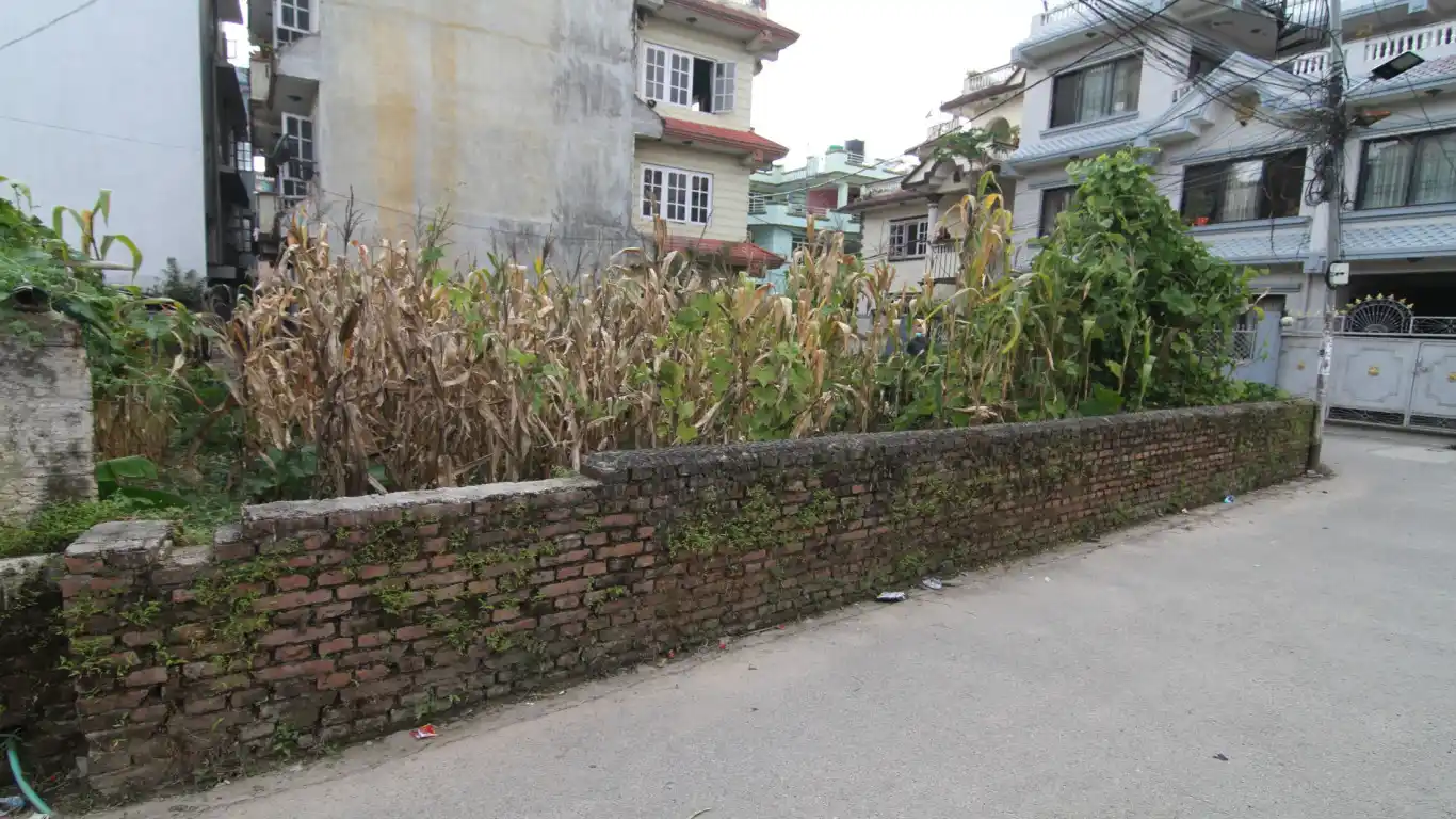 Samakhusi, Ward No. 10, Tokha Nagarpalika, Kathmandu, Bagmati Nepal, ,Land,For sale - Properties,8436