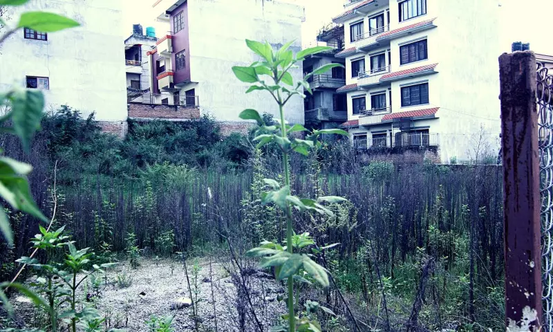 OM Shanti Tole, Ward No. 5, Suryabinayak Municipality, Bhaktapur, Bagmati Nepal, ,Land,For sale,8468