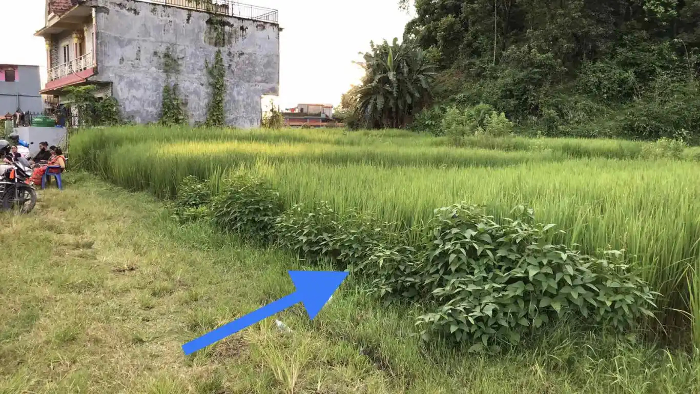 Dadakonak, Ward No. 27, Pokhara Metropolitan City, Kaski, Gandaki Pradesh Nepal, ,Land,For sale - Properties,8475