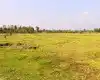 Purbari, Ward No. 6, Rapti Municipality, Chitwan, Bagmati Nepal, ,Land,For sale - Properties,8520