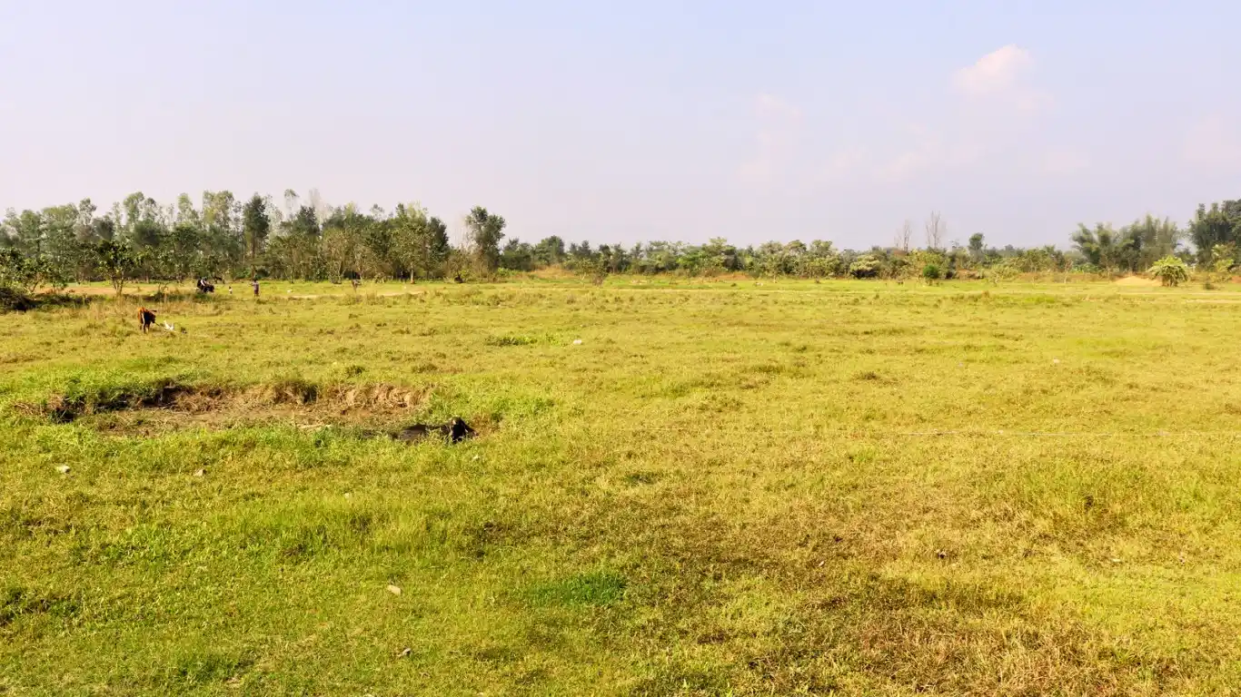 Purbari, Ward No. 6, Rapti Municipality, Chitwan, Bagmati Nepal, ,Land,For sale - Properties,8520