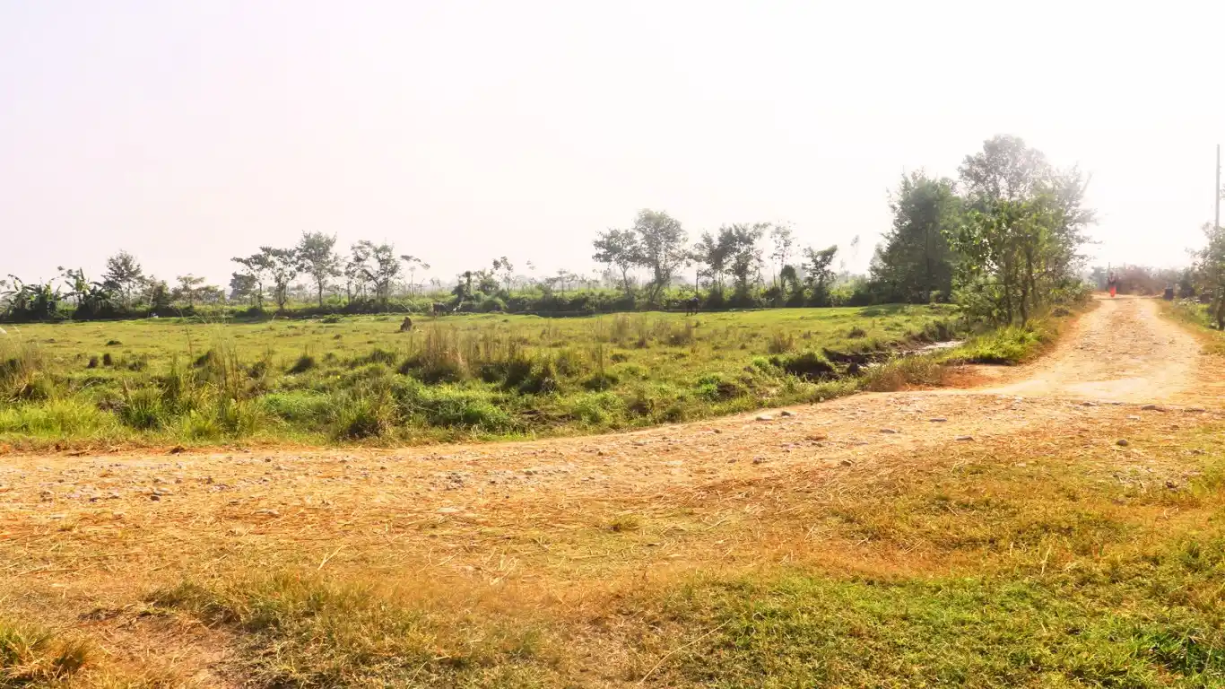 Purbari, Ward No. 6, Rapti Municipality, Chitwan, Bagmati Nepal, ,Land,For sale - Properties,8520