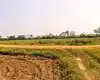 Purbari, Ward No. 6, Rapti Municipality, Chitwan, Bagmati Nepal, ,Land,For sale - Properties,8520