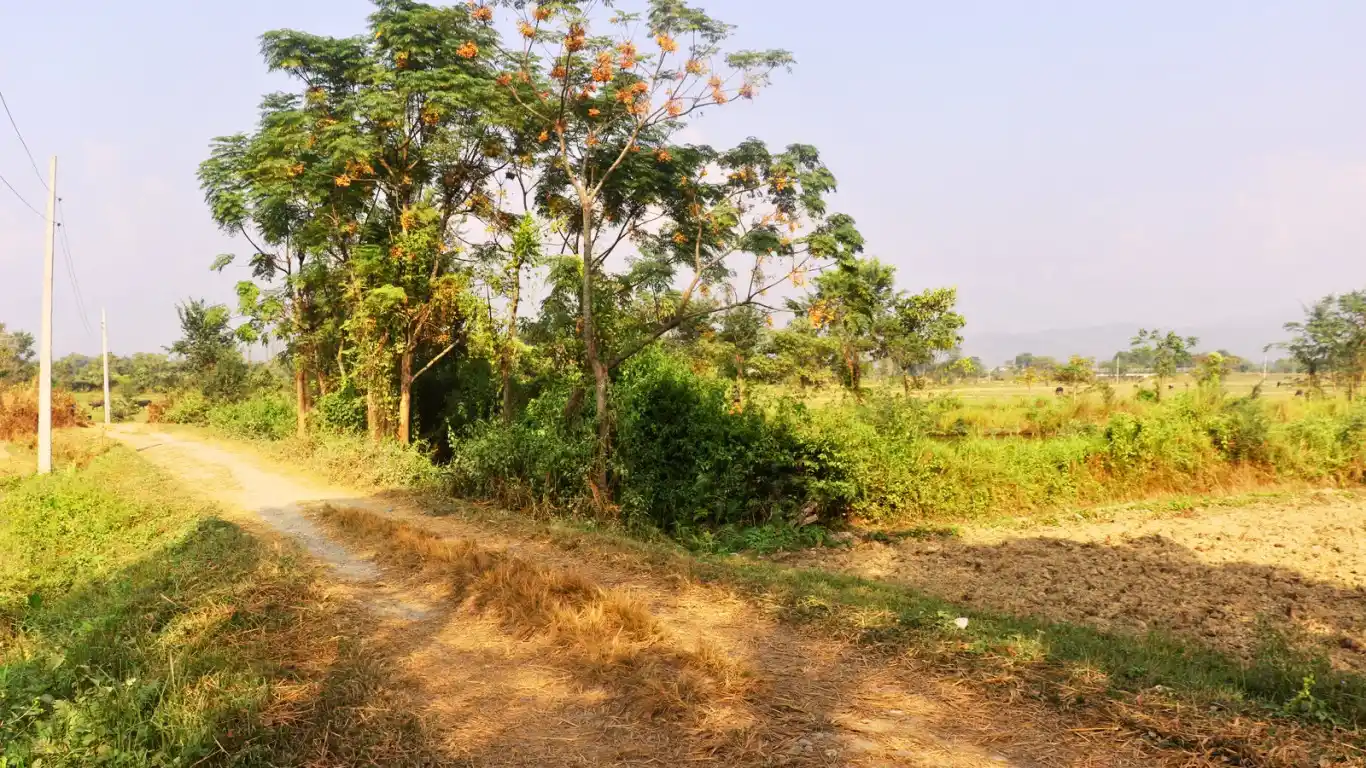 Purbari, Ward No. 6, Rapti Municipality, Chitwan, Bagmati Nepal, ,Land,For sale - Properties,8520