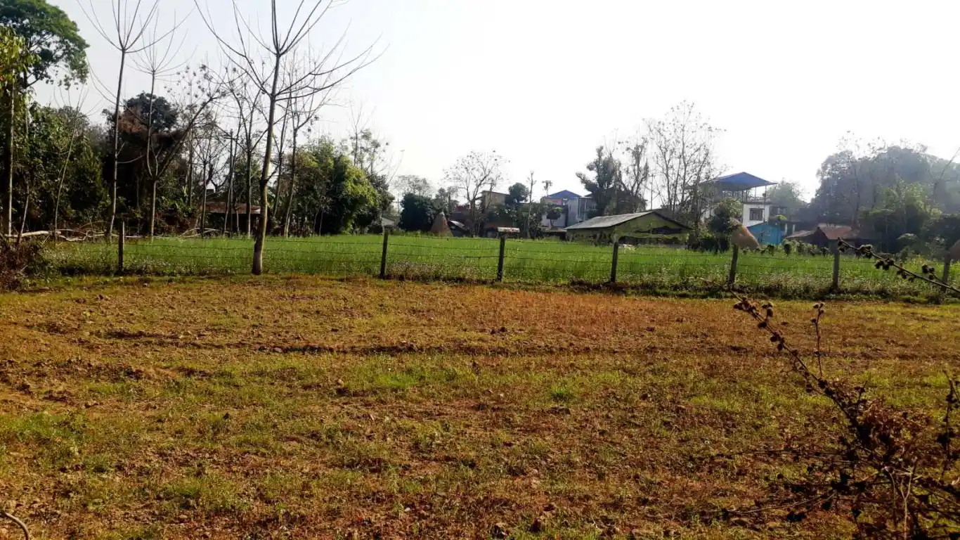 Meghauli, Ward No. 27, Bharatpur Metropolitan City, Chitwan, Bagmati Nepal, ,Land,For sale - Properties,8522