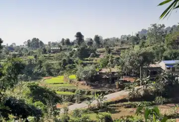Namuna Tole, Ward No.9, Kalika Municipality, Chitwan, Bagmati Nepal, ,Land,For sale,8546
