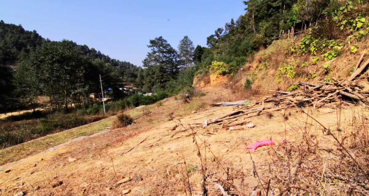 Lele Chowk, Ward No. 5, Godawari Municipality, Lalitpur, Bagmati Nepal, ,Land,For sale - Properties,8564