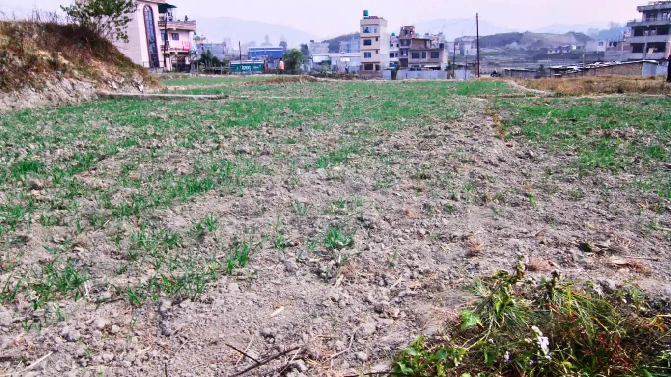 land for sale at sukapati , land for sale , bhaktapur , land for sale at Changunarayan , 4 aana land , sasto ghaderi in bhaktapur . 