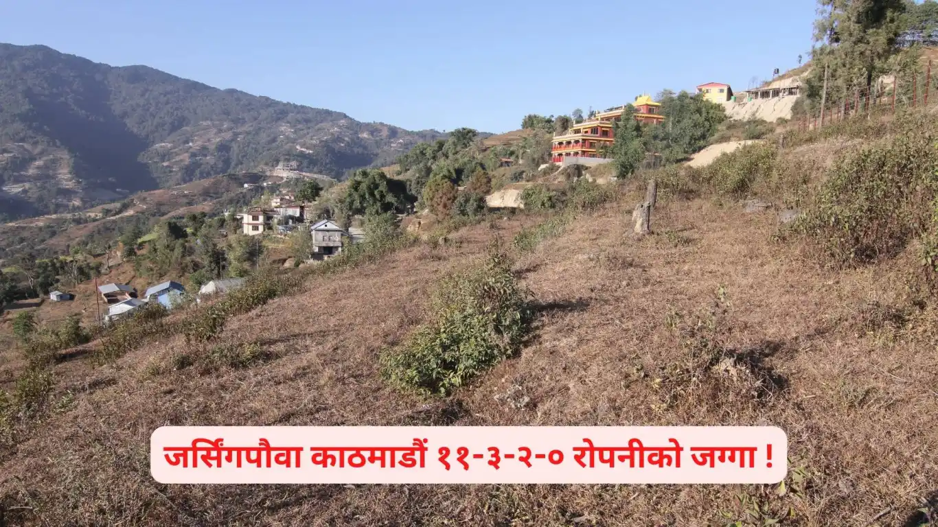 Lapsifedi, Ward No. 4, Shankharapur Nagarpalika, Kathmandu, Bagmati Nepal, ,Land,For sale - Properties,8569