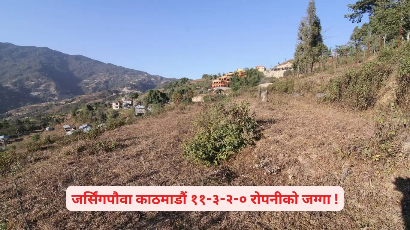 Lapsifedi, Ward No. 4, Shankharapur Nagarpalika, Kathmandu, Bagmati Nepal, ,Land,For sale - Properties,8569