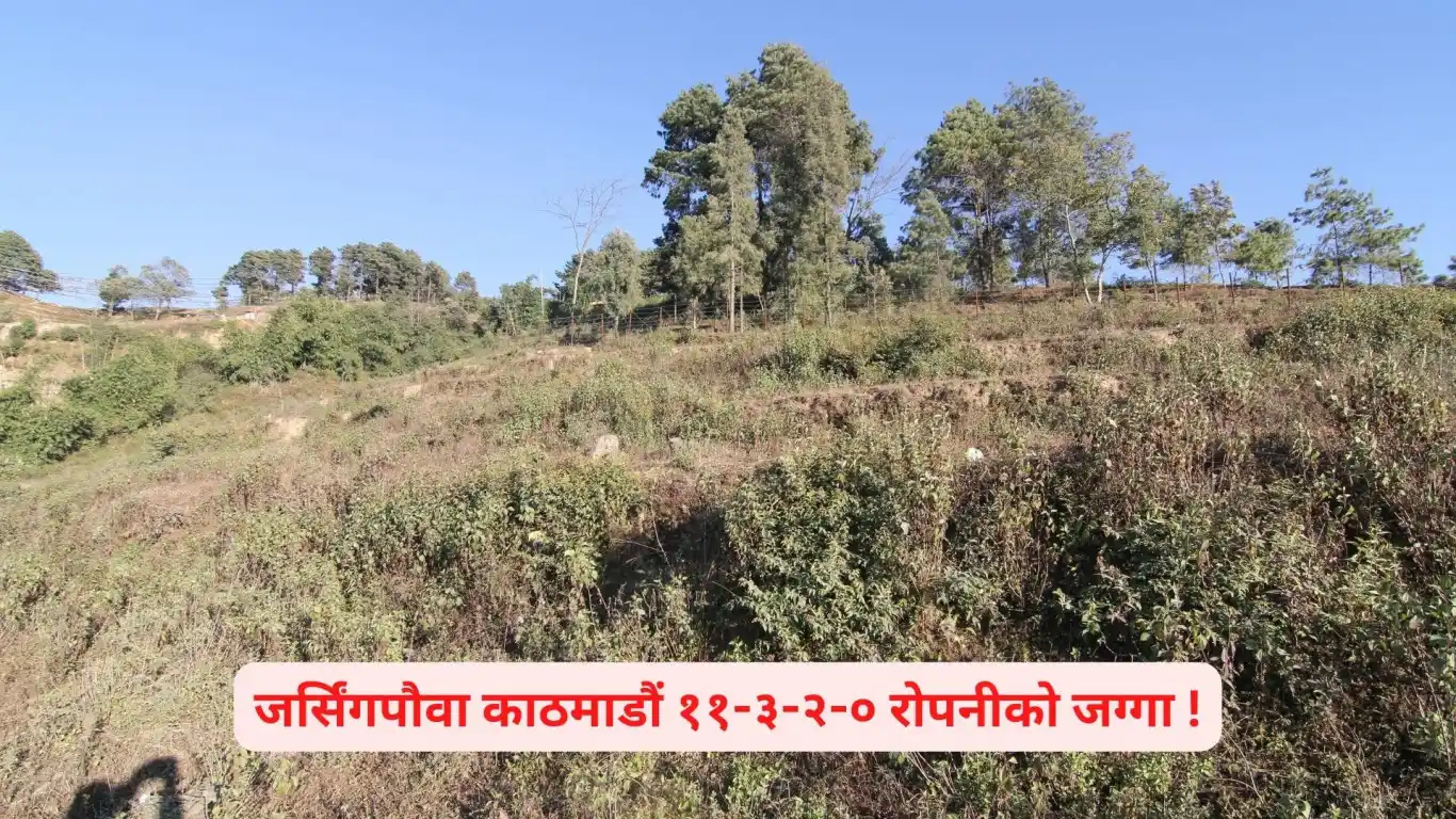 Lapsifedi, Ward No. 4, Shankharapur Nagarpalika, Kathmandu, Bagmati Nepal, ,Land,For sale - Properties,8569