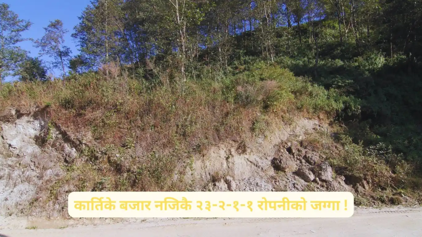 Lapsifedi, Ward No. 4, Shankharapur Nagarpalika, Kathmandu, Bagmati Nepal, ,Land,For sale - Properties,8569