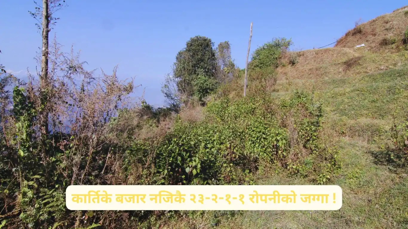 Lapsifedi, Ward No. 4, Shankharapur Nagarpalika, Kathmandu, Bagmati Nepal, ,Land,For sale - Properties,8569