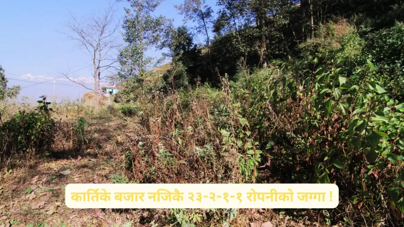 Lapsifedi, Ward No. 4, Shankharapur Nagarpalika, Kathmandu, Bagmati Nepal, ,Land,For sale - Properties,8569