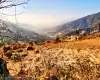 Nagarkot, Ward No.6, Changunarayan Municipality, Bhaktapur, Bagmati Nepal, ,Land,For sale - Properties,8572