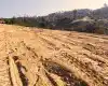 Nagarkot, Ward No.6, Changunarayan Municipality, Bhaktapur, Bagmati Nepal, ,Land,For sale - Properties,8572