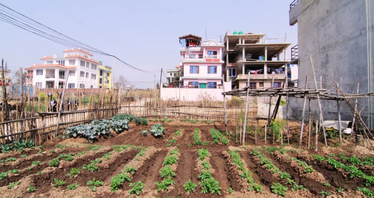 Jhaukhel, Ward No. 2, Changunarayan Municipality, Bhaktapur, Bagmati Nepal, ,Land,For sale - Properties,8634