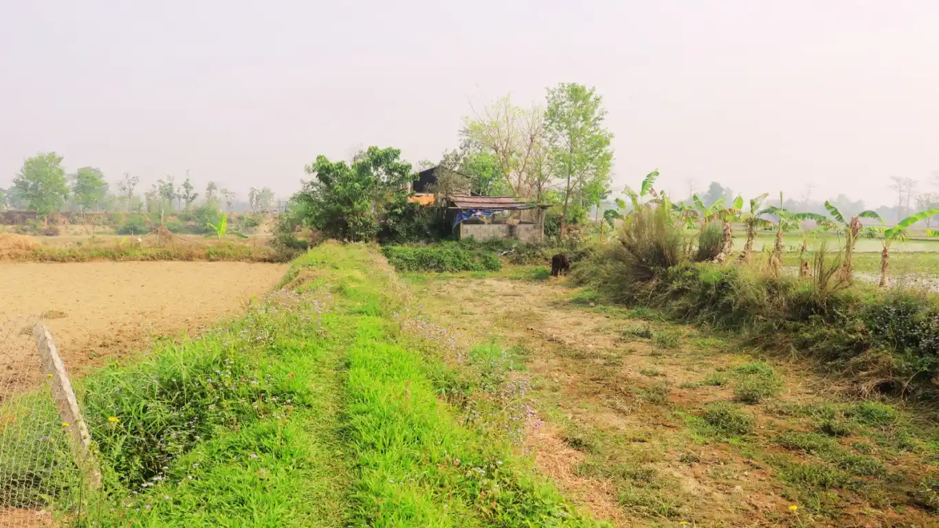 Badgaun, Pipara, Ward No. 10, Khairahani Municipality, Chitwan, Bagmati Nepal, ,Land,For sale - Properties,8663