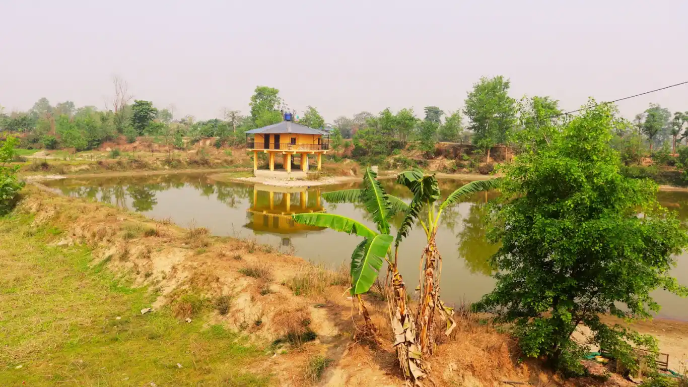 Badgaun, Pipara, Ward No. 10, Khairahani Municipality, Chitwan, Bagmati Nepal, ,Land,For sale - Properties,8663