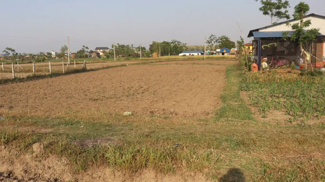 Kesharbag, Ward No. 6, Bharatpur Metropolitan City, Chitwan, Bagmati Nepal, ,Land,For sale - Properties,8671