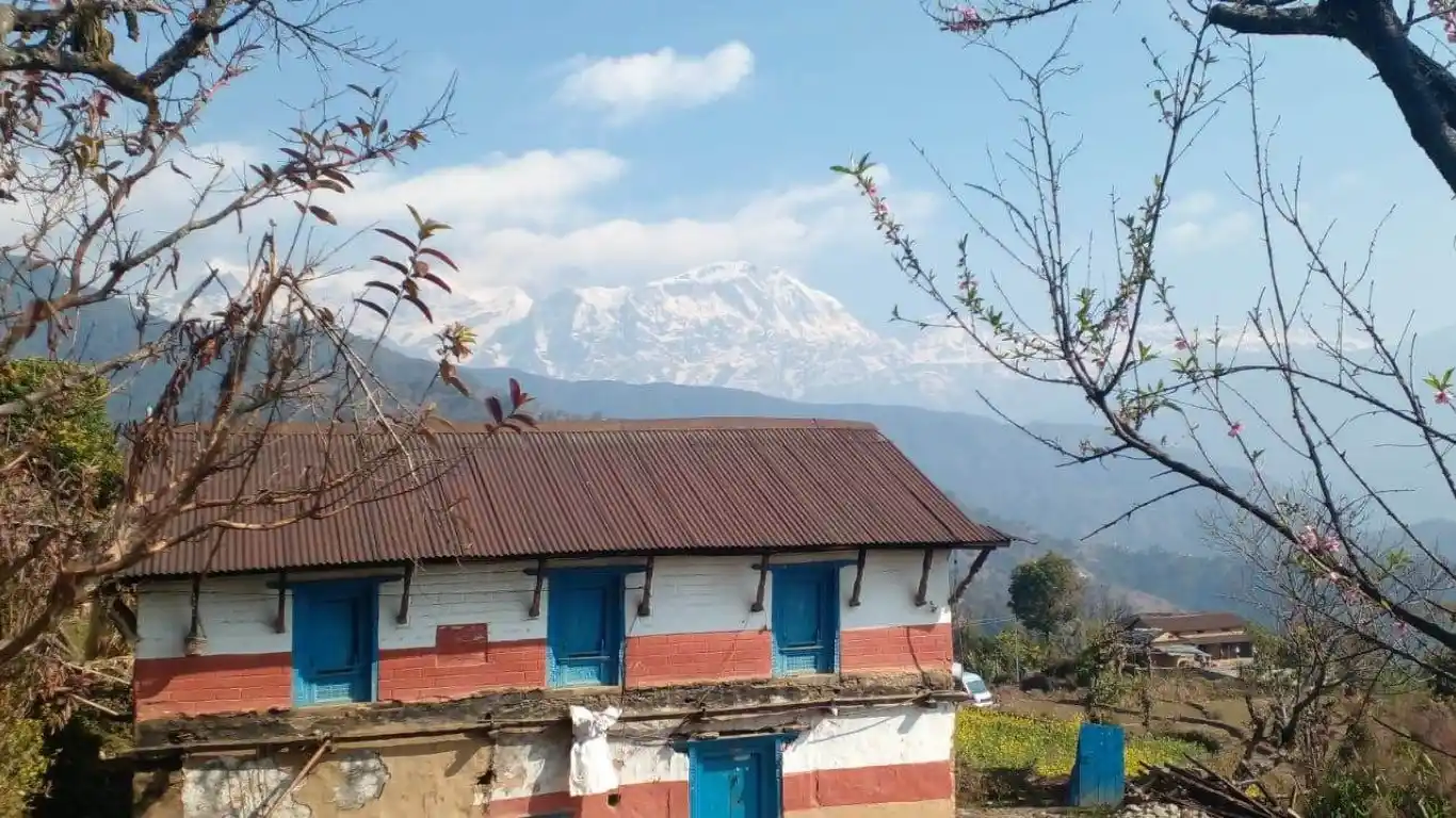 Bijaypur, Dandagaun, Ward No. 20, Pokhara Metropolitan City, Kaski, Gandaki Pradesh Nepal, ,Land,For sale - Properties,8678