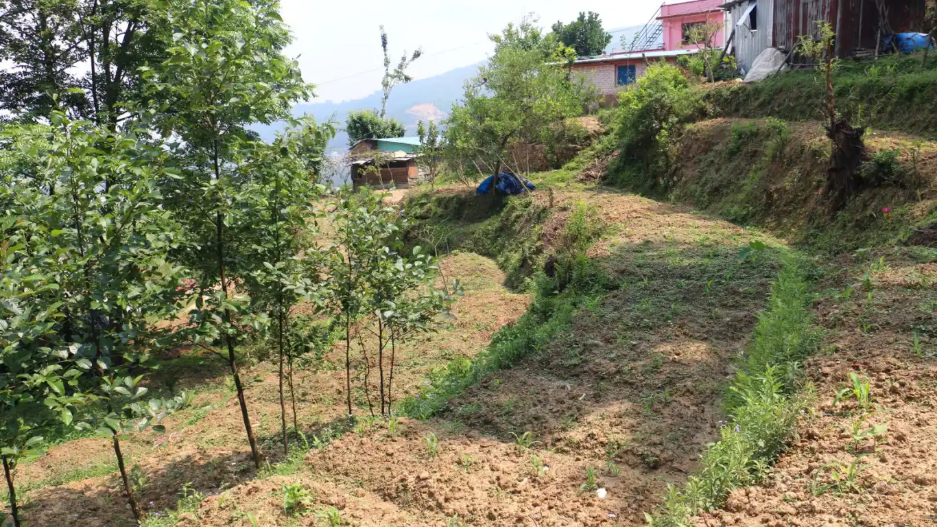 Bhimdhunga, Ward No. 8, Nagarjun Nagarpalika, Kathmandu, Bagmati Nepal, ,Land,For sale - Properties,8735