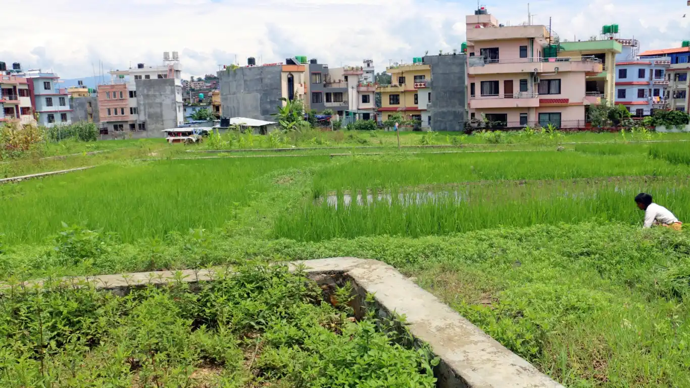 Dadhikot, Ward No. 4, Suryabinayak Municipality, Bhaktapur, Bagmati Nepal, ,Land,For sale - Properties,8808