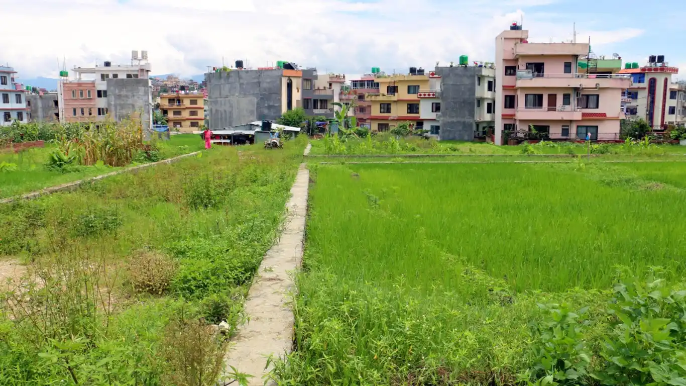 Dadhikot, Ward No. 4, Suryabinayak Municipality, Bhaktapur, Bagmati Nepal, ,Land,For sale - Properties,8808