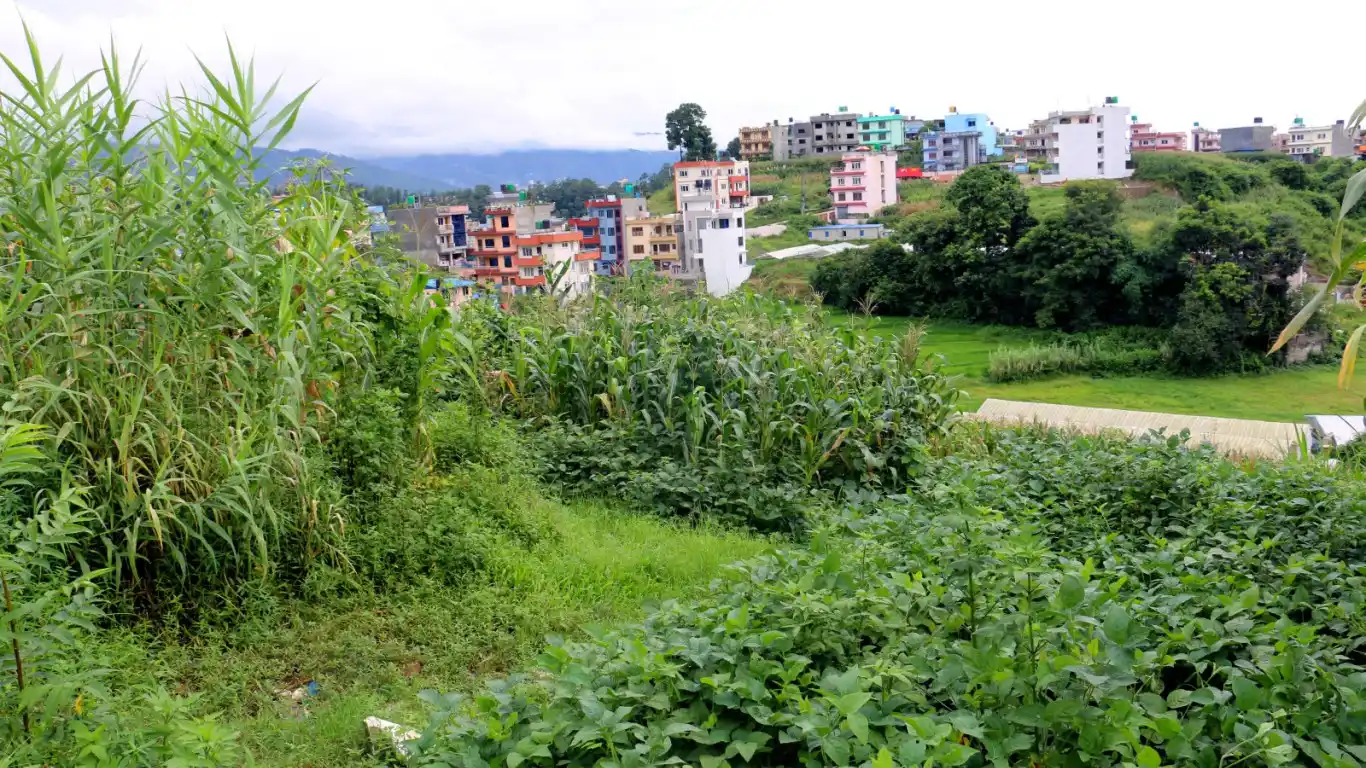 Basnettar, Ward No . 06, Tarkeshwor Nagarpalika, Kathmandu, Bagmati Nepal, ,Land,For sale - Properties,8829