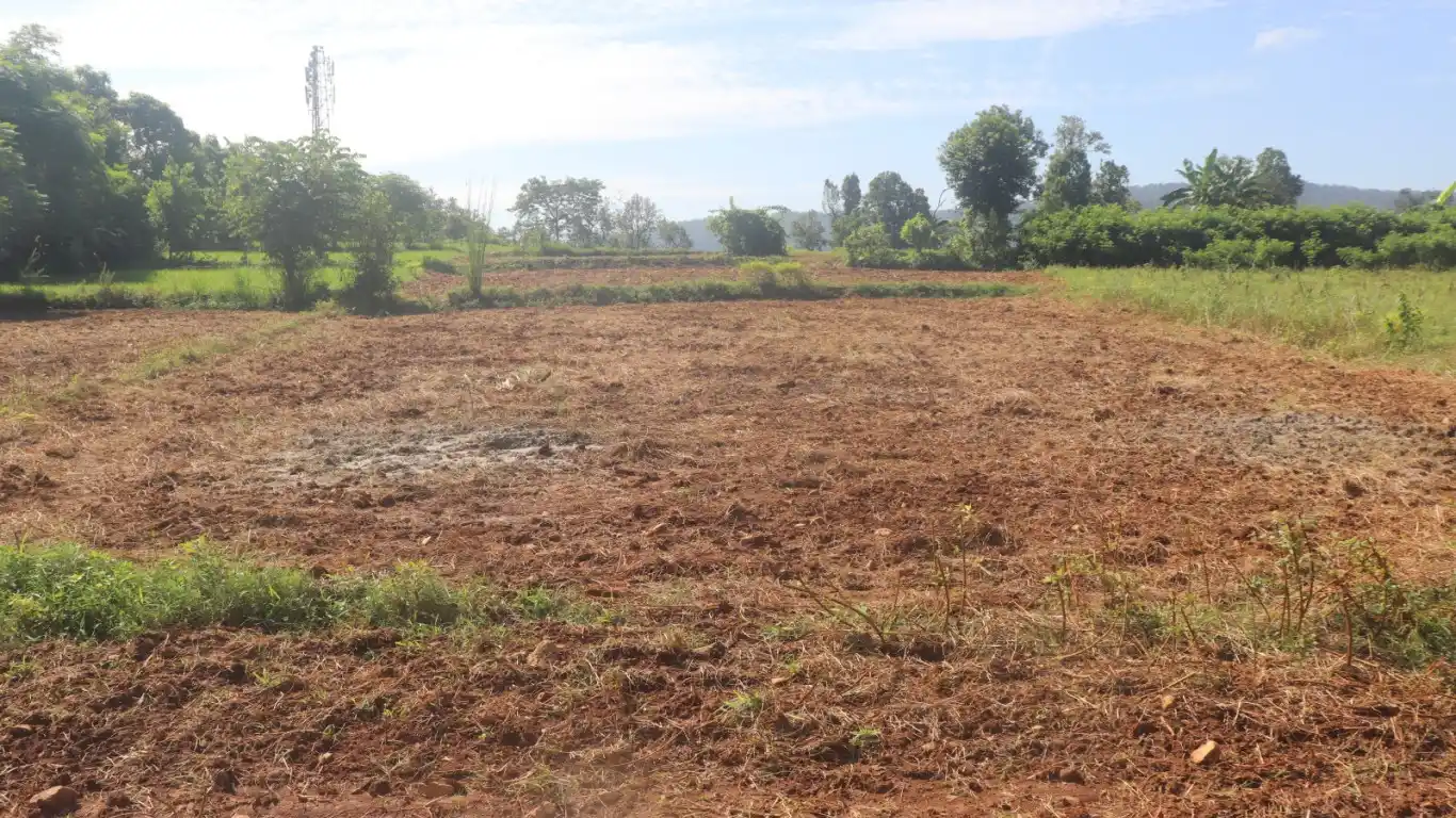 Dhodeni, Ward No. 3, Gaindakot Municipality, Nawalpur, Gandaki Pradesh Nepal, ,Land,For sale - Properties,8857