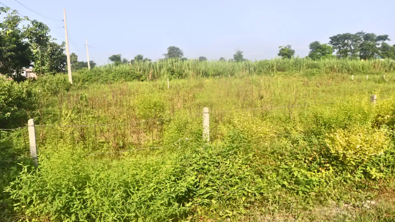 Narayanpur, Ward No. 5, Bharatpur Metropolitan City, Chitwan, Bagmati Nepal, ,Land,For sale - Properties,8870