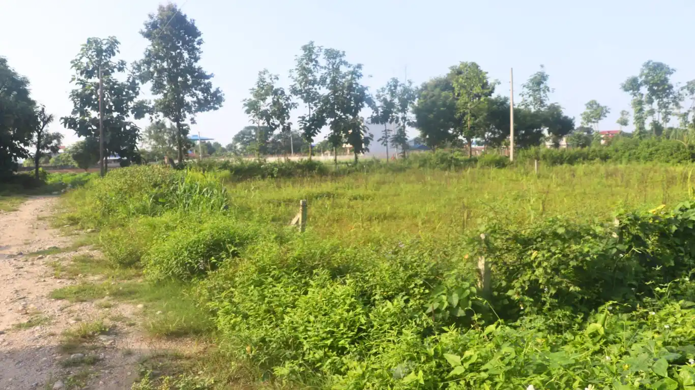 Narayanpur, Ward No. 5, Bharatpur Metropolitan City, Chitwan, Bagmati Nepal, ,Land,For sale - Properties,8870