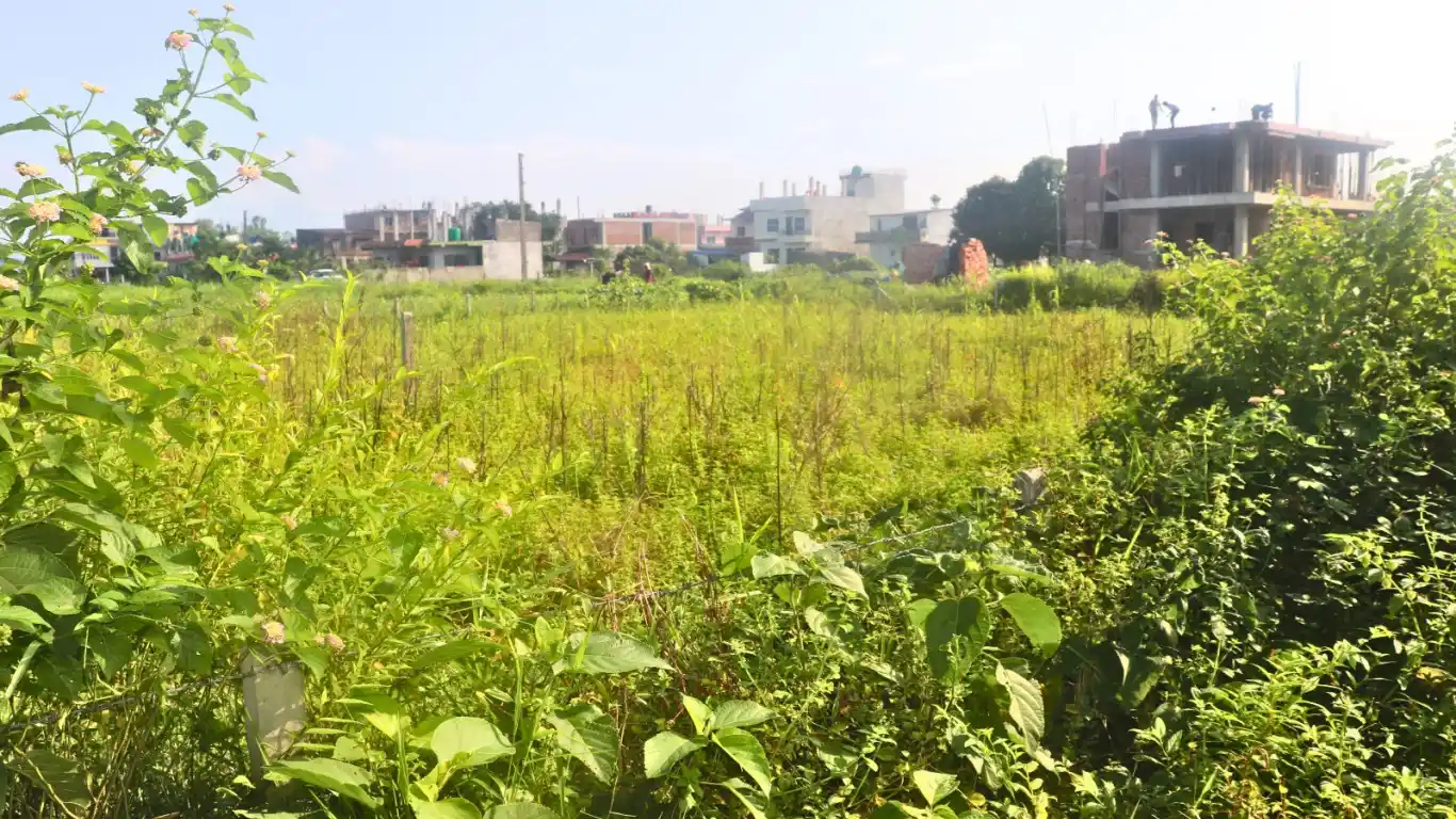 Narayanpur, Ward No. 5, Bharatpur Metropolitan City, Chitwan, Bagmati Nepal, ,Land,For sale - Properties,8870