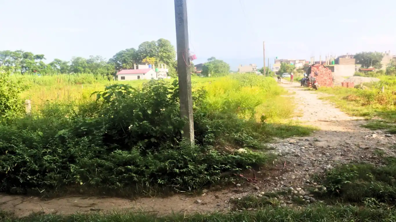 Narayanpur, Ward No. 5, Bharatpur Metropolitan City, Chitwan, Bagmati Nepal, ,Land,For sale - Properties,8870