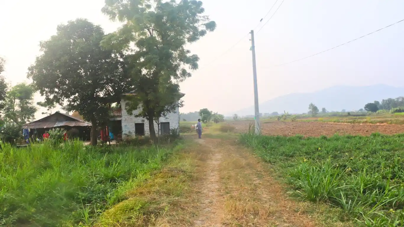 Brahmanagar, Ward No. 8, Rapti Municipality, Chitwan, Bagmati Nepal, ,Land,For sale - Properties,8896