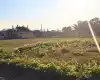 Bhiuran, Ward No.15, Madhyabindu Nagarpalika, Nawalpur, Gandaki Pradesh Nepal, ,Land,For sale - Properties,8902