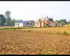Bhiuran, Ward No.15, Madhyabindu Nagarpalika, Nawalpur, Gandaki Pradesh Nepal, ,Land,For sale - Properties,8902
