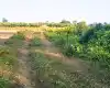 Bhiuran, Ward No.15, Madhyabindu Nagarpalika, Nawalpur, Gandaki Pradesh Nepal, ,Land,For sale - Properties,8902