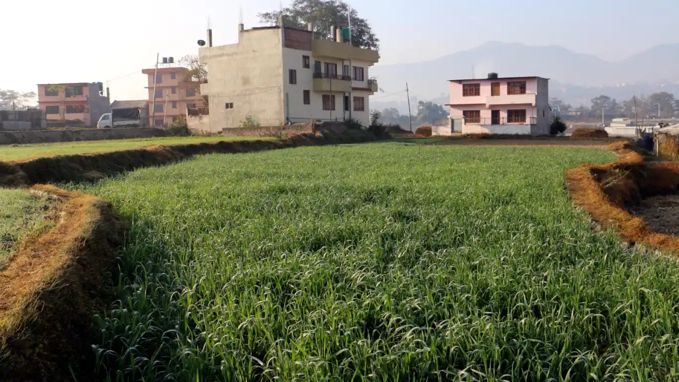 Kavresthali, Ward No. 6, Tarkeshwor Nagarpalika, Kathmandu, Bagmati Nepal, ,Land,For sale - Properties,8927