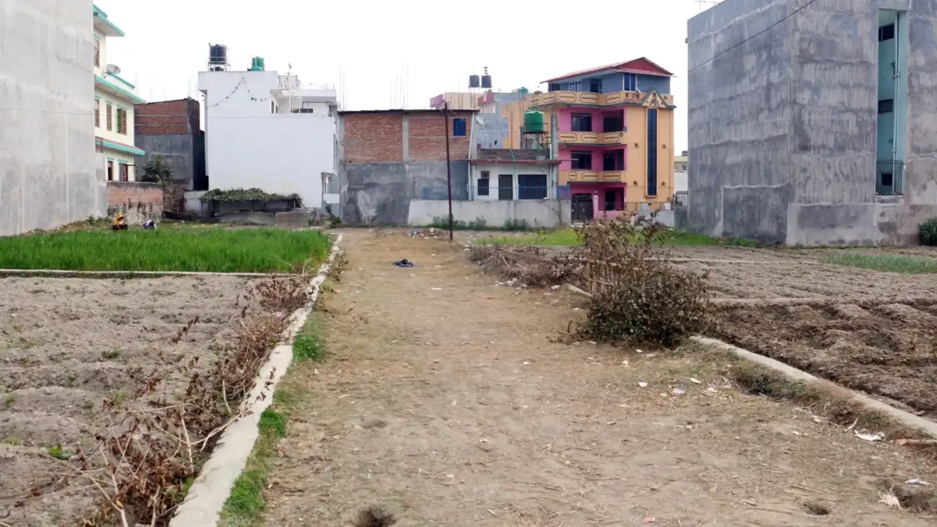 Lolang, Ward No. 5, Tarkeshwor Nagarpalika, Kathmandu, Bagmati Nepal, ,Land,For sale - Properties,8946