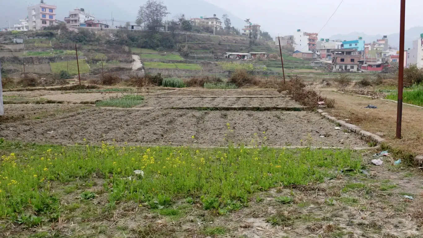 Lolang, Ward No. 5, Tarkeshwor Nagarpalika, Kathmandu, Bagmati Nepal, ,Land,For sale - Properties,8946